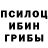 Галлюциногенные грибы прущие грибы Macsum_ vovkoon