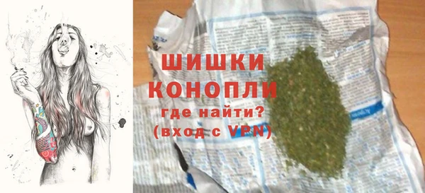 стафф Бронницы