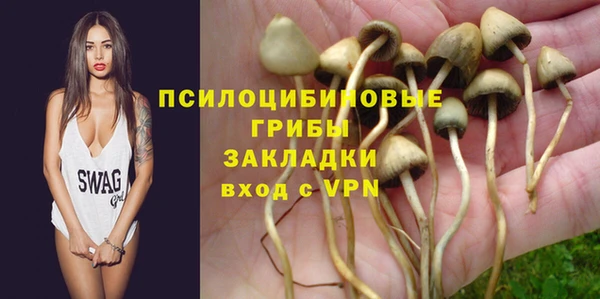 ALPHA-PVP Бородино